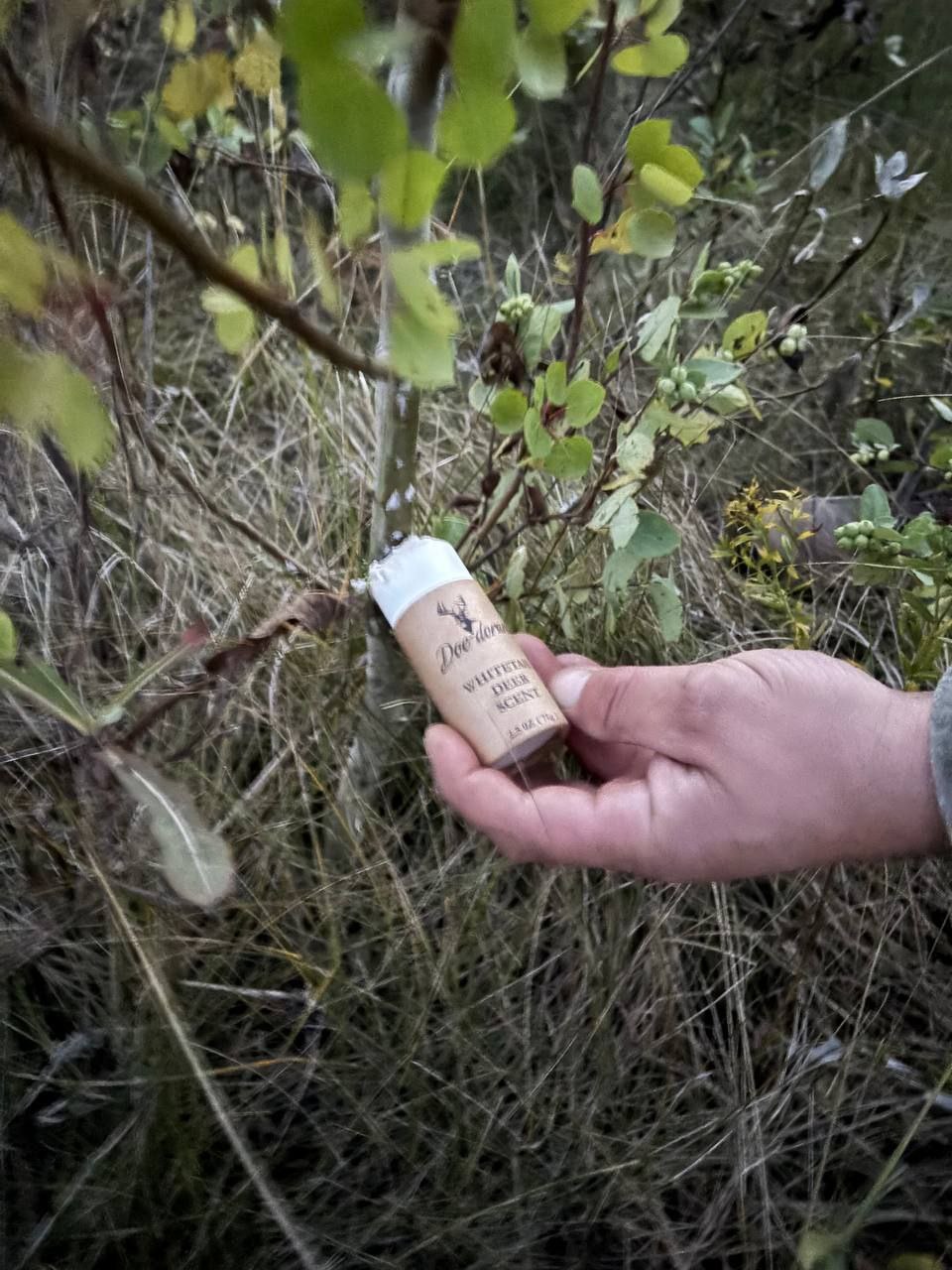 Deer Scent Stick applied to brush